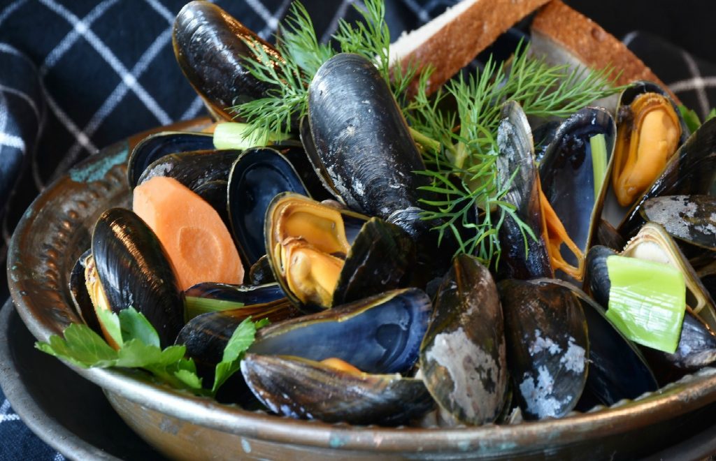 mussels-3148452_1920