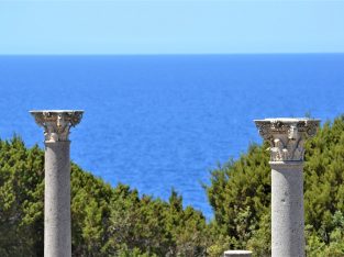 isola giannutri 11