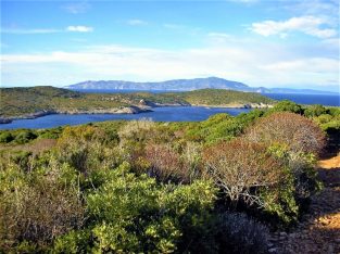 isola giannutri 17