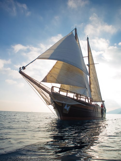 isla negra sailing