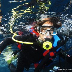 diving elba gallery 2 diving elba gallery 2