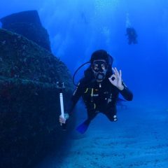 diving elba gallery 5 diving elba gallery 5