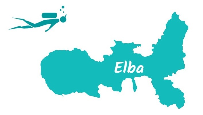 diving-elba-verde_vectorized-3